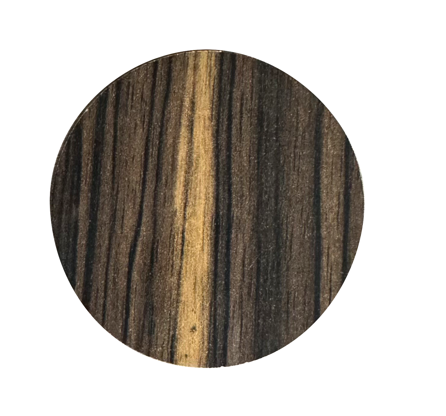 Macassar Sulawesi braun